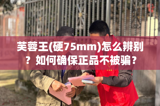 芙蓉王(硬75mm)怎么辨别？如何确保正品不被骗？